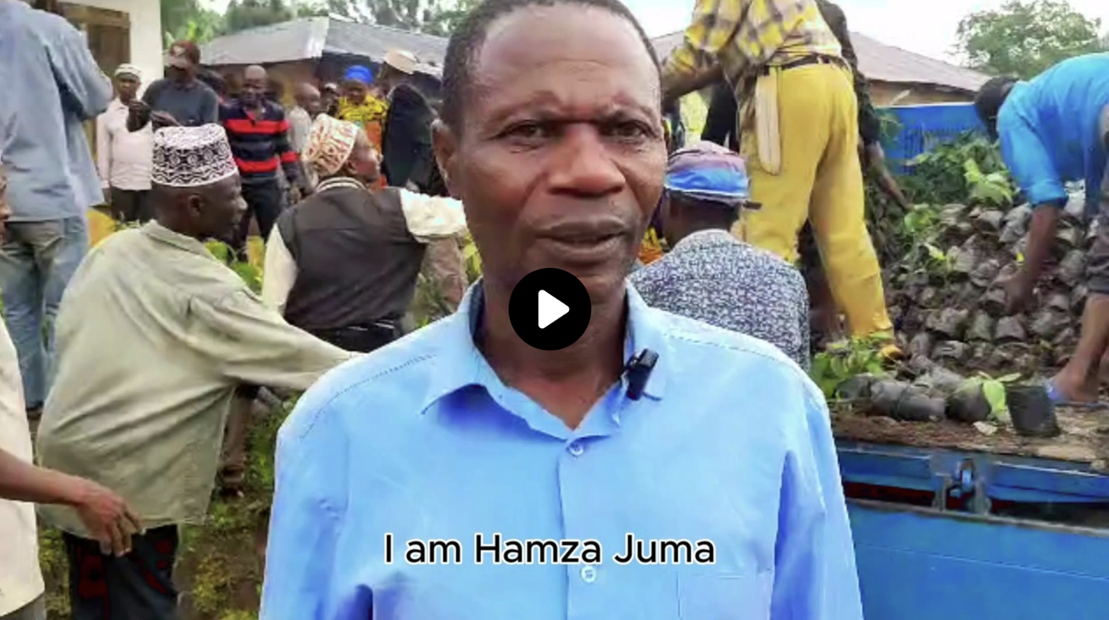 From Seed to Soil: How Trees Are Planted for Long-Term Survival